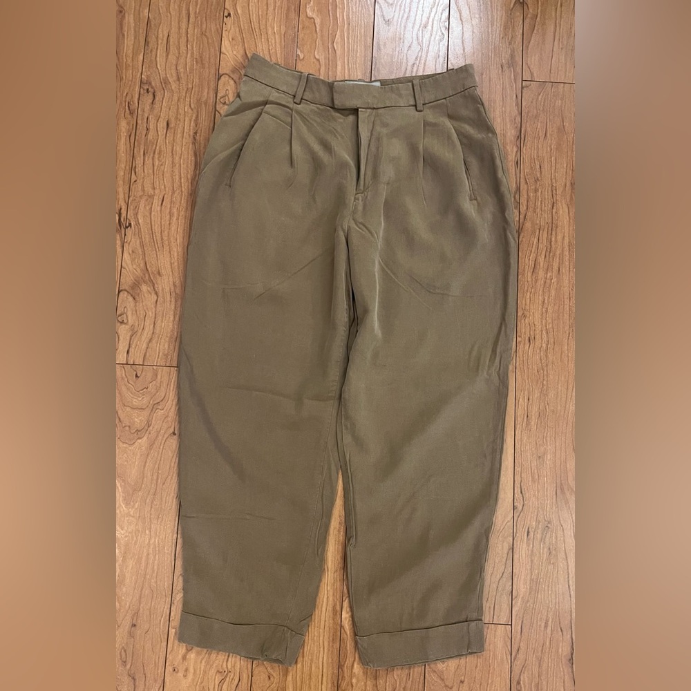 Everlane Pleated High-Rise Chinos